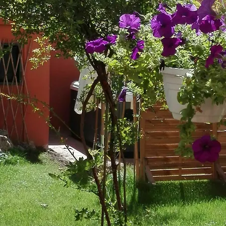 Al Giardino Di Alice Panzió 2*
